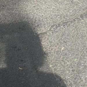 Meet your Posher, Selena